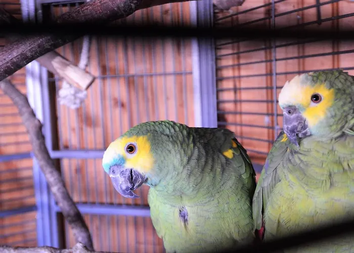 Les Et Roulottes Des Noisetiers Leysin