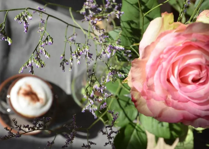 Les Et Roulottes Des Noisetiers Pensjonat Leysin